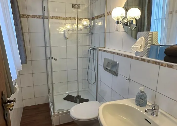 Restaurant Benger 3*